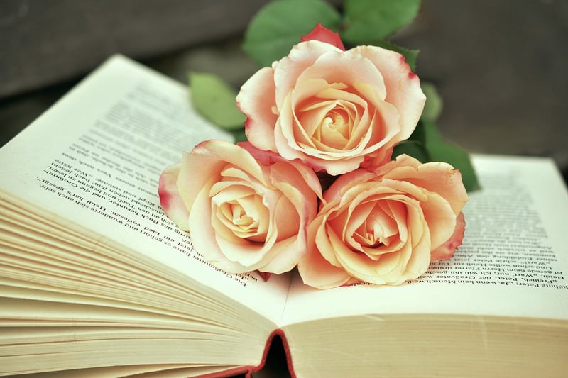 Michelle Reader Artwork
