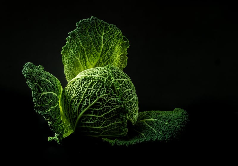 Sustainable Practices Image